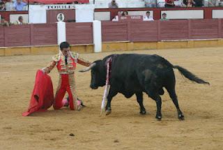 ANDRÉS LUIS DORADO SE REIVINDICA ANTE UN GRAN TORO DE MANUEL BLÁZQUEZ ANDRÉS LUIS DORADO SE REIVINDICA ANTE UN GRAN TORO DE MANUEL BLÁZQUEZ