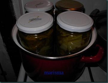 acelgas huerto julio4 acelgas huerto julio4