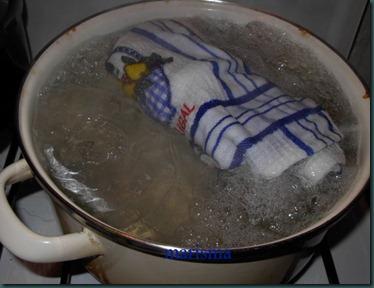 acelgas huerto julio2 acelgas huerto julio2