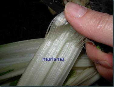 acelgas limpiando acelgas limpiando