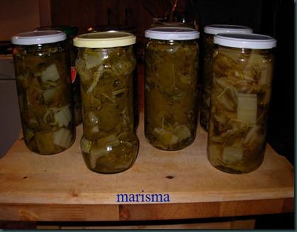 acelgas huerto6 acelgas huerto6