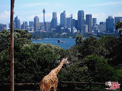 Vista de Sydney desde Taronga Zoo