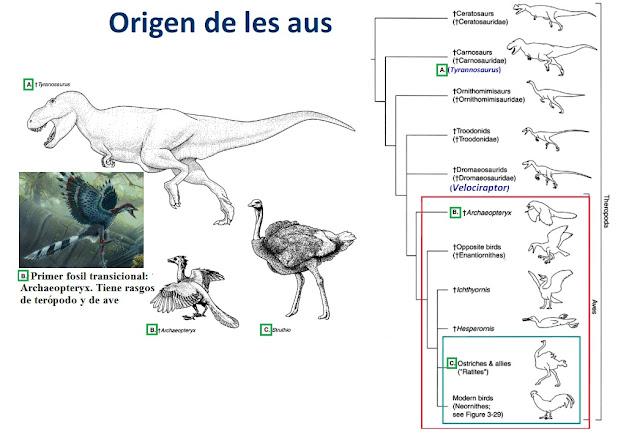 REPTILOMORFOS