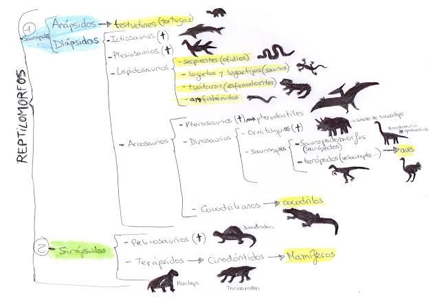 REPTILOMORFOS