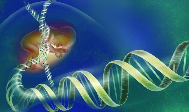 Resultado de imagen de expresión de los genes