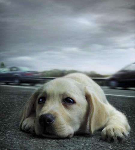 mini_500_11151_1239704573589117 UN NUEVO ESCOTE CON FRAXEL DUAL