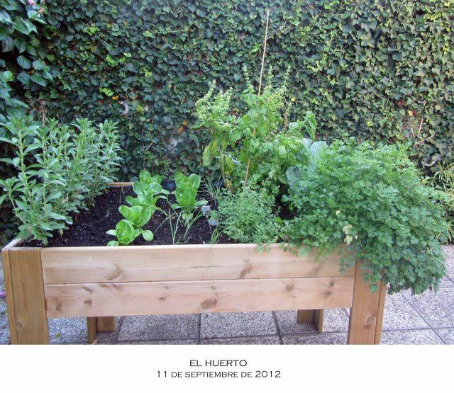 huerto La soledad del ajo.