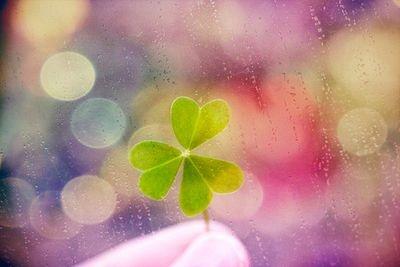 REFORZAR LA CONFIANZA REFORZAR LA CONFIANZA