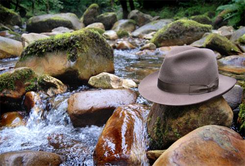 Sombrero Borsalino Un bosque encantado de “Sombreros”