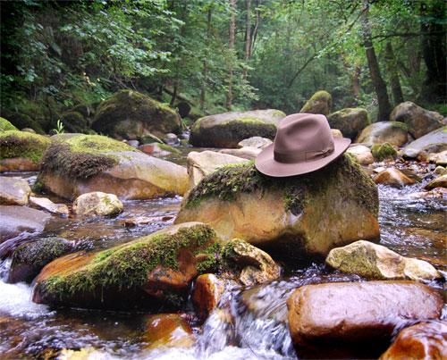 Sombrero Borsalino Un bosque encantado de “Sombreros”