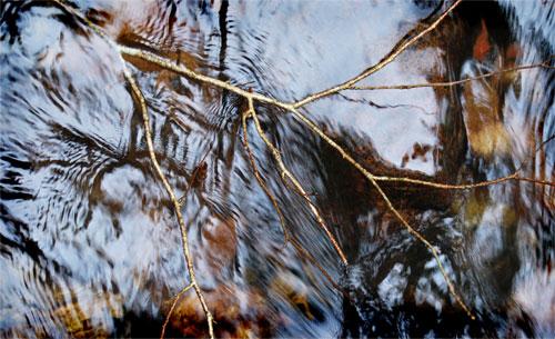 Río Espinaredo Un bosque encantado de “Sombreros”
