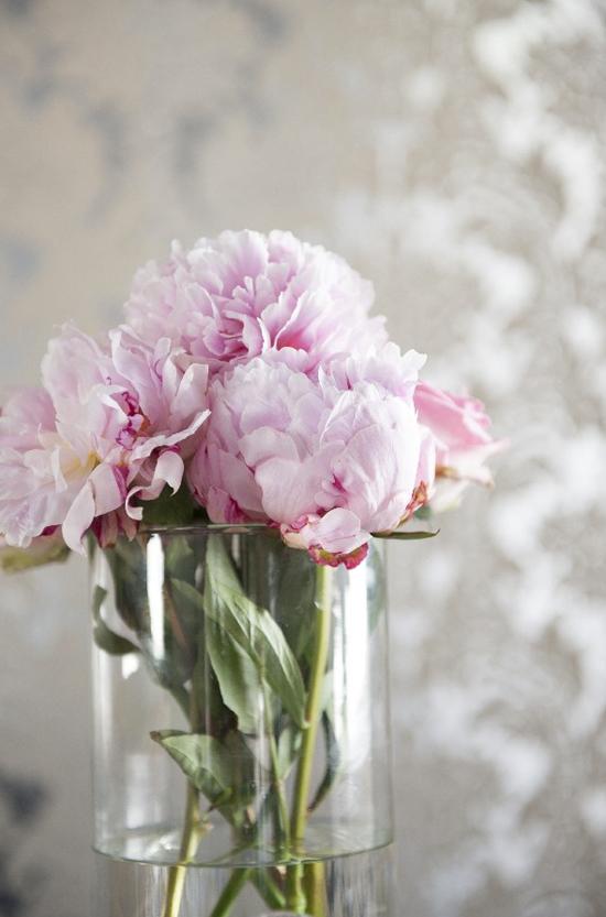 Elixir, mi nuevo descubrimiento ibicenco Elixir, mi nuevo descubrimiento ibicenco