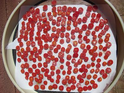 SECADO DE TOMATES CHERRY, SU PROCESO Y CONSERVACIÓN EN ACEITE DE OLIVA