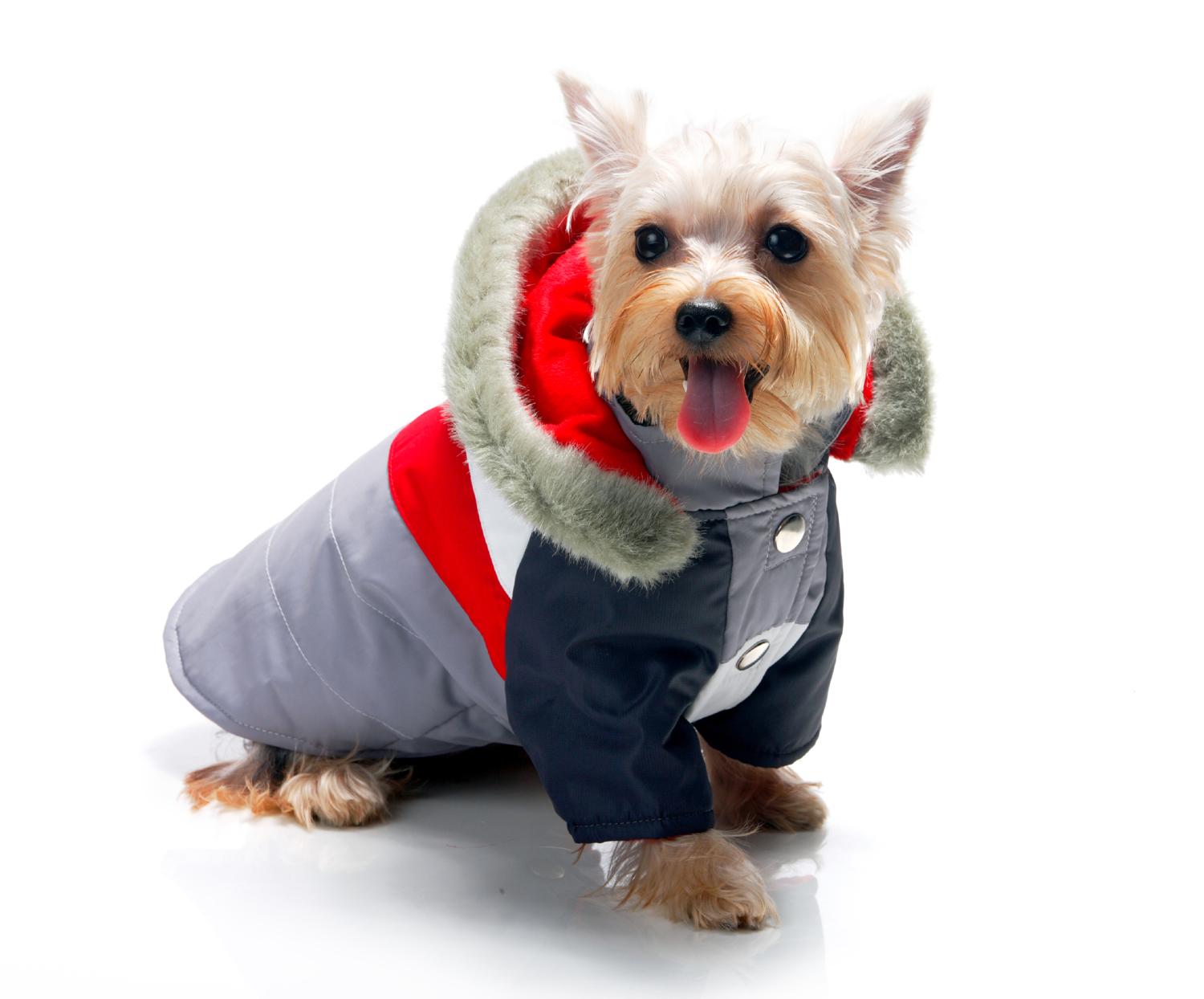 ropa para perros