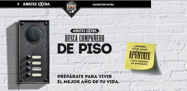 Amstel busca compañero de piso