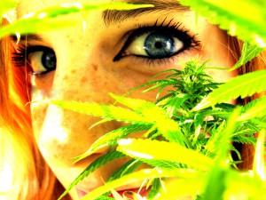 marihuana Cuando tu adolescente piensa que fumar marihuana “no es un problema”