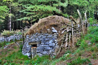 Timoteo Jauna Timoteo Jauna