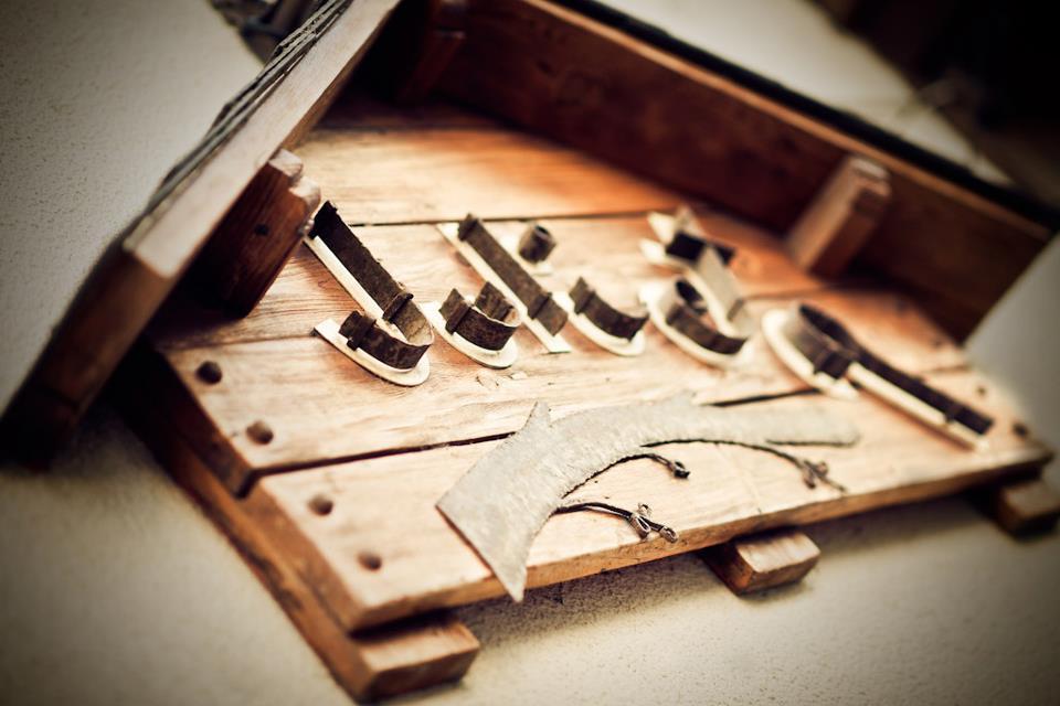 Navy Coral Navy Coral