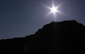 ¡VOLAR ALTO! El lenguaje de las aves y las condiciones del pájaro solitario ¡VOLAR ALTO! El lenguaje de las aves y las condiciones del pájaro solitario