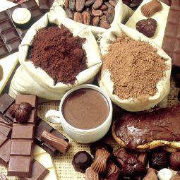 Los antioxidantes del cacao aumentan la función cerebral