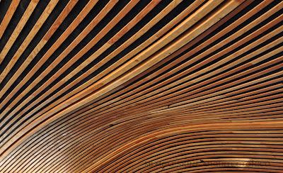 CENTRO DE VISITANTES VAN DUSEN, MIRADAS INTENSIVAS CENTRO DE VISITANTES VAN DUSEN, MIRADAS INTENSIVAS