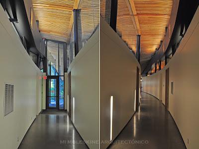 CENTRO DE VISITANTES VAN DUSEN, MIRADAS INTENSIVAS CENTRO DE VISITANTES VAN DUSEN, MIRADAS INTENSIVAS