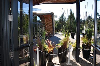 CENTRO DE VISITANTES VAN DUSEN, MIRADAS INTENSIVAS CENTRO DE VISITANTES VAN DUSEN, MIRADAS INTENSIVAS