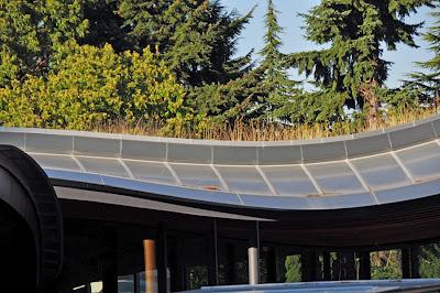 CENTRO DE VISITANTES VAN DUSEN, MIRADAS INTENSIVAS CENTRO DE VISITANTES VAN DUSEN, MIRADAS INTENSIVAS