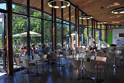 CENTRO DE VISITANTES VAN DUSEN, MIRADAS INTENSIVAS CENTRO DE VISITANTES VAN DUSEN, MIRADAS INTENSIVAS