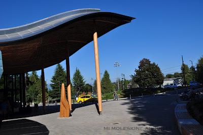 CENTRO DE VISITANTES VAN DUSEN, MIRADAS INTENSIVAS CENTRO DE VISITANTES VAN DUSEN, MIRADAS INTENSIVAS