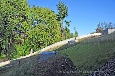 CENTRO DE VISITANTES VAN DUSEN, MIRADAS INTENSIVAS CENTRO DE VISITANTES VAN DUSEN, MIRADAS INTENSIVAS