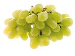u3 Racimos de uva: la fruta dorada que no engorda  