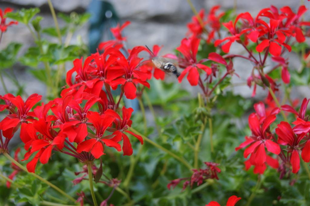 Random pics: summer review Random pics: summer review