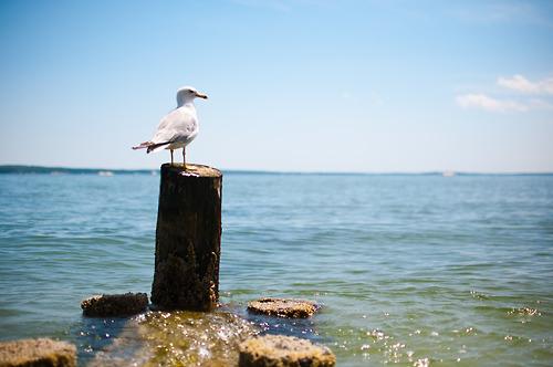 caminos Los caminos diferentes y las oportunidades de una persona como tu
