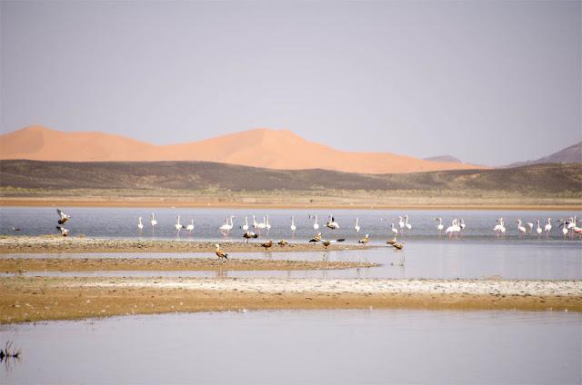 Marruecos. Quinta etapa: Desierto de Erg Chebbi (2) Marruecos. Quinta etapa: Desierto de Erg Chebbi (2)