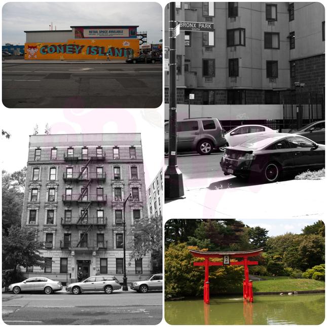 De izda. a dcha. y de arriba a bajo: Coney Island, Bronx, Harlem, Jardín Botánico