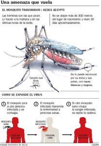 dengue-2 Dengue