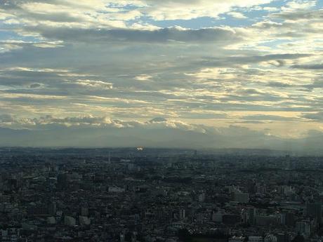 Día 6 : Ueno y Shinjuku Día 6 : Ueno y Shinjuku