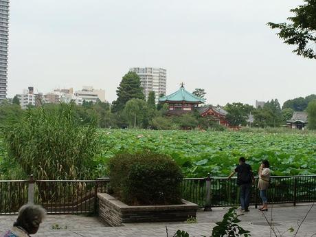 Día 6 : Ueno y Shinjuku Día 6 : Ueno y Shinjuku