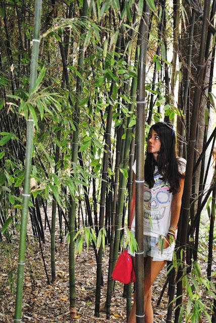 Jardin botanico + Torres Quartz Jardin botanico + Torres Quartz