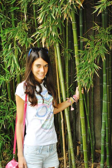 Jardin botanico + Torres Quartz Jardin botanico + Torres Quartz