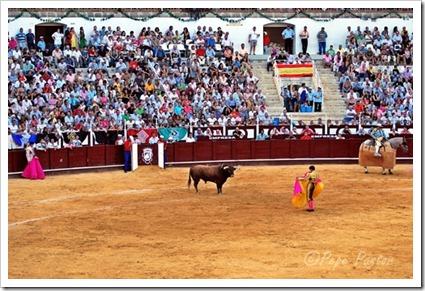 Las corridas de toros serán declaradas “Bien de Interés Cultural” Las corridas de toros serán declaradas “Bien de Interés Cultural”