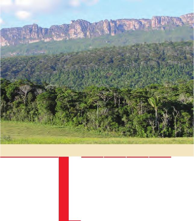 Bosques Venezolanos (toda la inofrmación el libro rojo de los ecosistemas venezolanos)