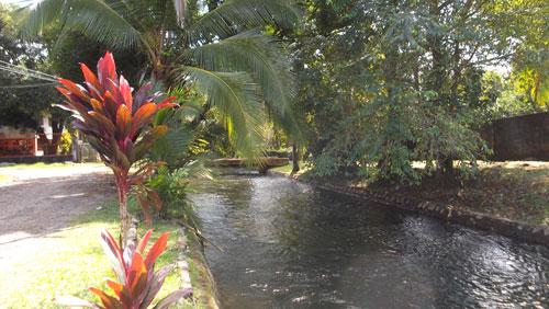 012 Día de imágenes