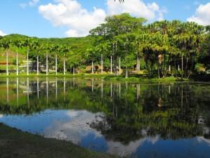 Lugares naturales en Caracas, parte II