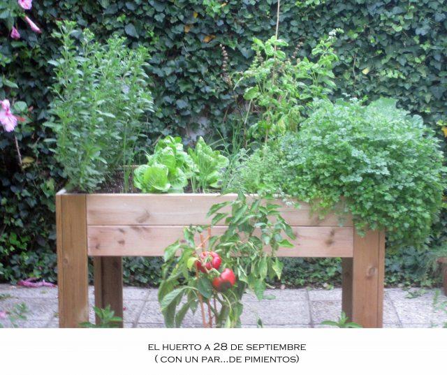 hiuerto28 Con un par…