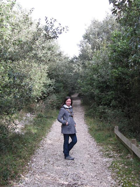 La magia de lo natural: Caminando en el Monte Buciero La magia de lo natural: Caminando en el Monte Buciero