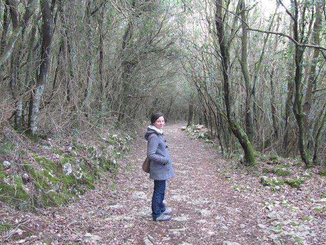 La magia de lo natural: Caminando en el Monte Buciero La magia de lo natural: Caminando en el Monte Buciero