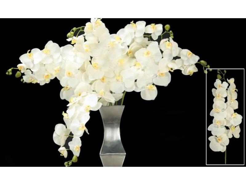 Superlativo Superlativo