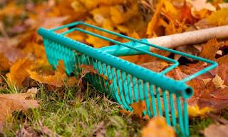 Cuidados en plantas y flores - Octubre Cuidados en plantas y flores - Octubre